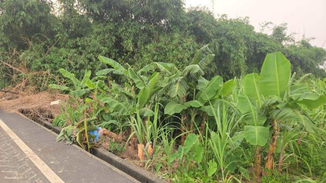 嘉義民雄農地-4