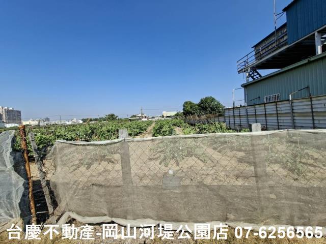 高雄大社農地-9