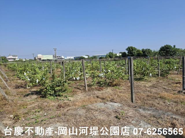 高雄大社農地-3