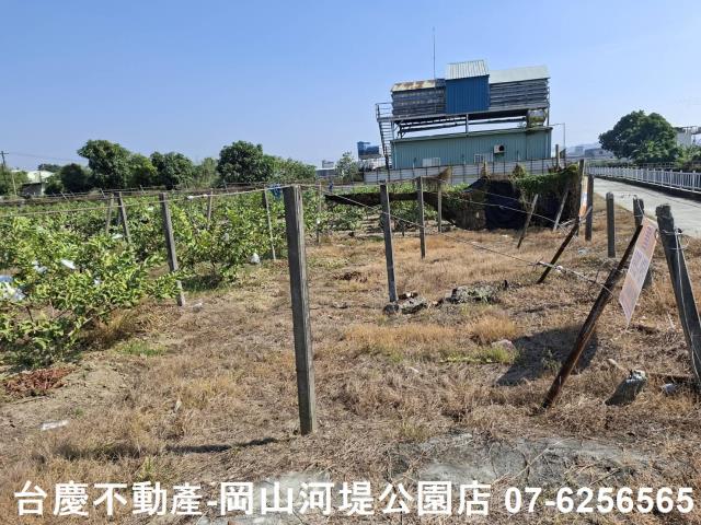 高雄大社農地-4