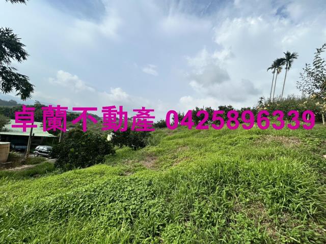卓蘭農地-10