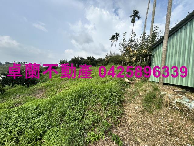 卓蘭農地-12