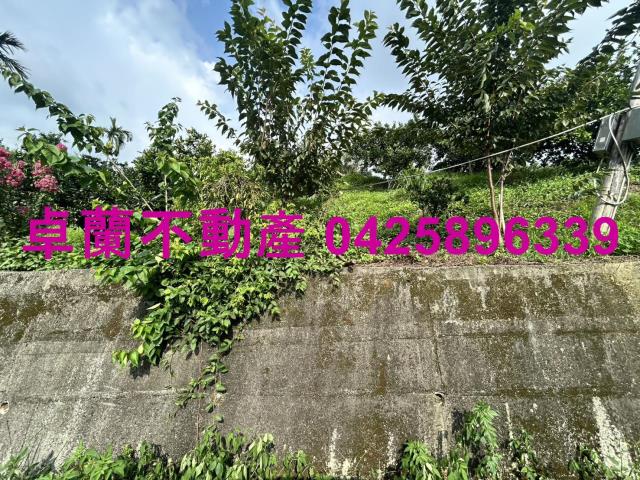 卓蘭農地-7