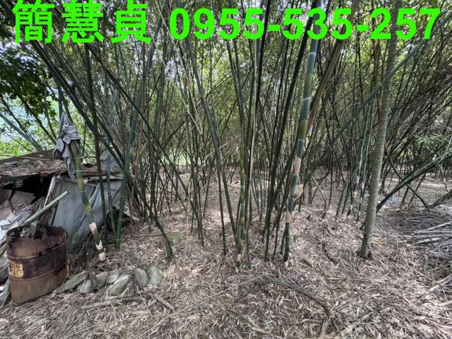 南投農地-4