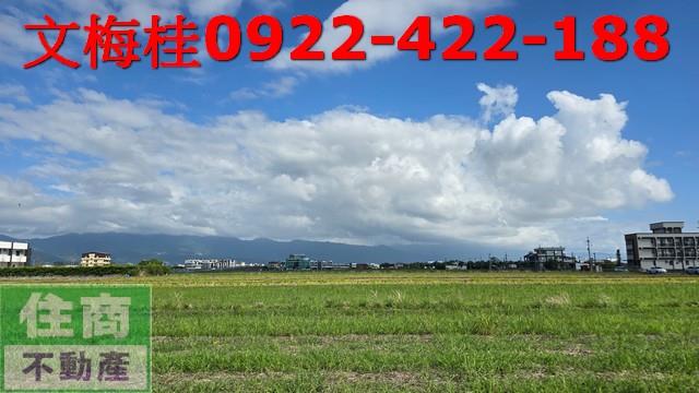 宜蘭宜蘭市農地-11