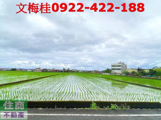 宜蘭宜蘭市農地-1