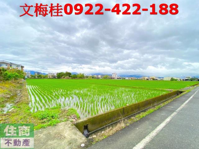宜蘭宜蘭市農地-2