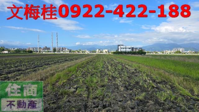 礁溪農地-1