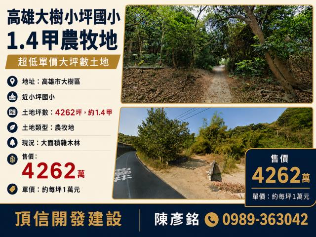 大樹農地-1