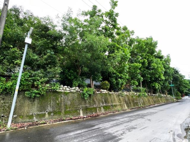 豐原農地-1