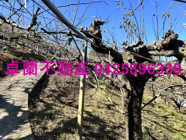 苗栗農地-4