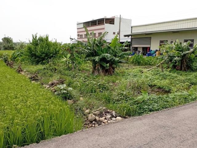 台中農地-5