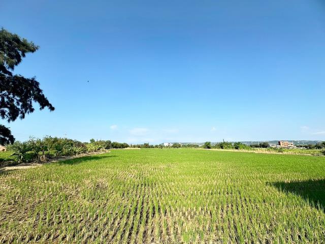 台中農地-3