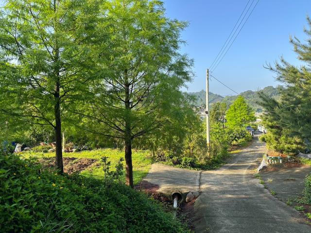 台中東勢農地-6
