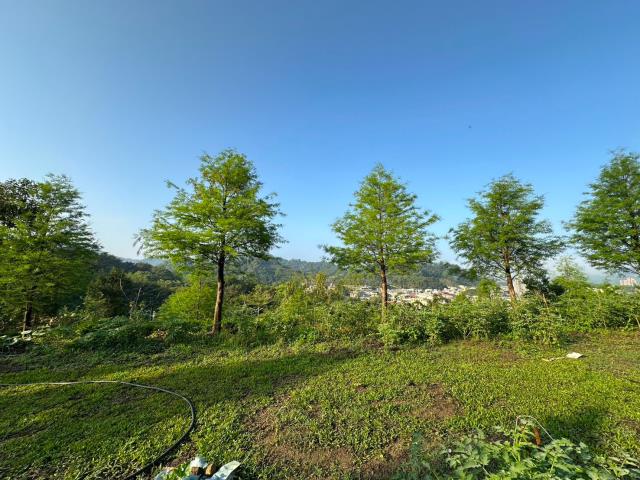台中東勢農地-8