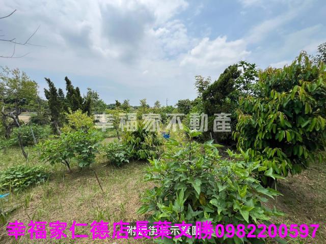 台南新化農地-13