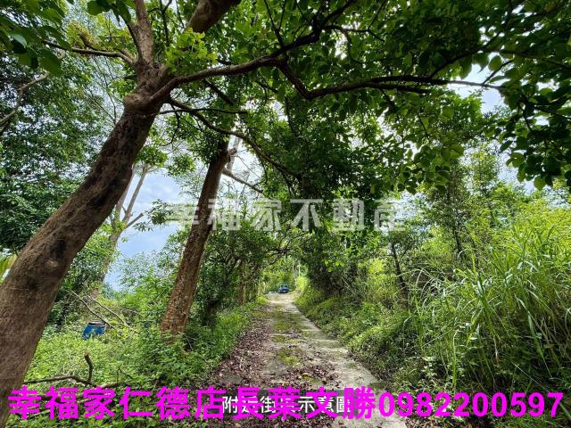 台南新化農地-11