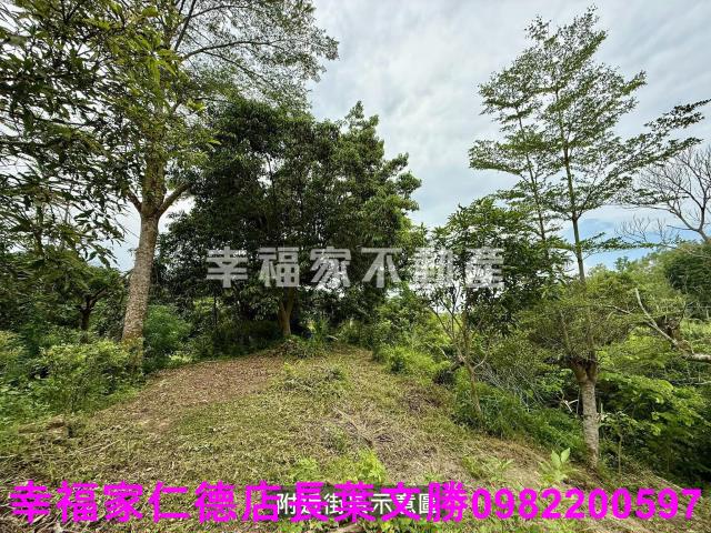 台南新化農地-14