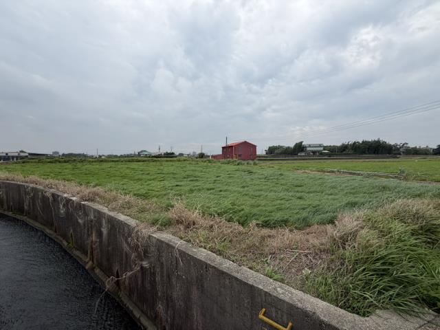 桃園觀音農地-3