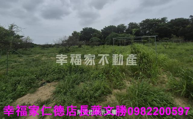 台南農地-12