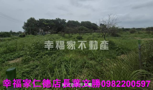 台南農地-8