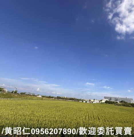 台南農地-6