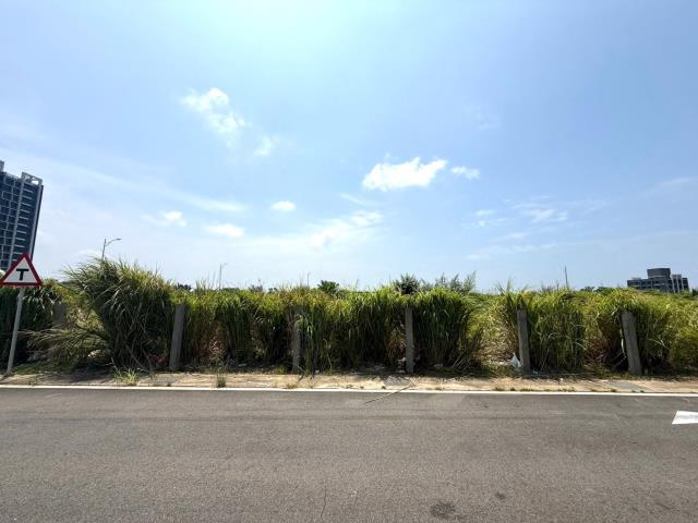 桃園建地-2