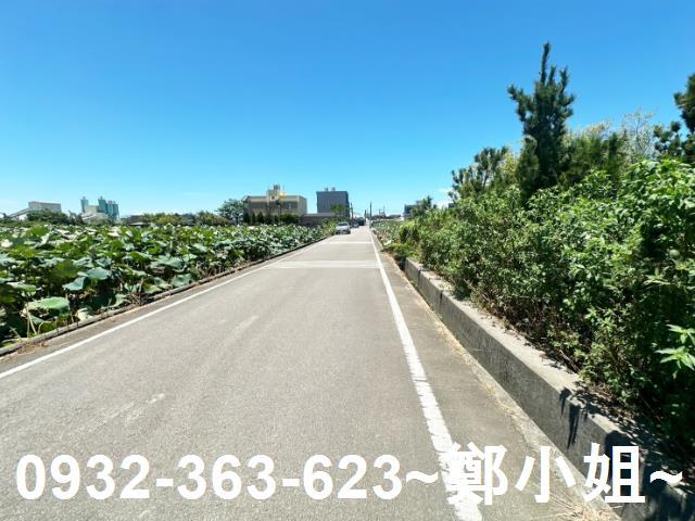 大園農地-1