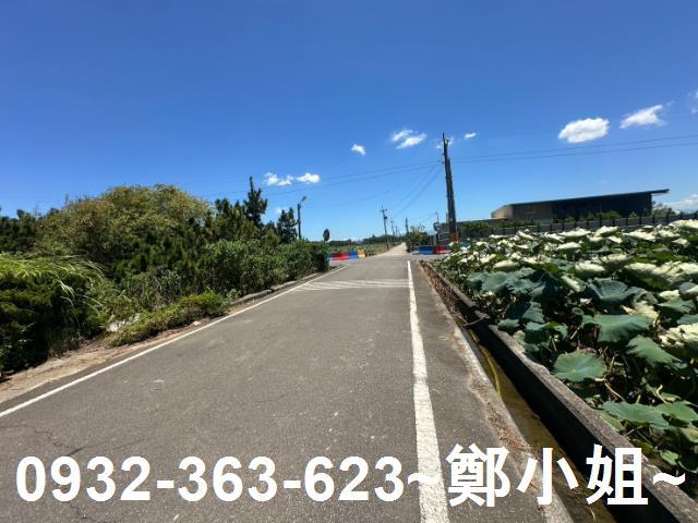 大園農地-3