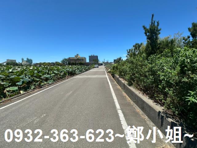 大園農地-5
