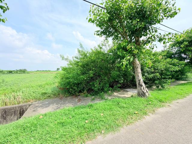 台南七股農地-6