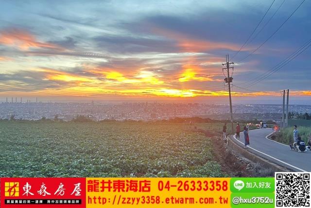 台中沙鹿旱-9