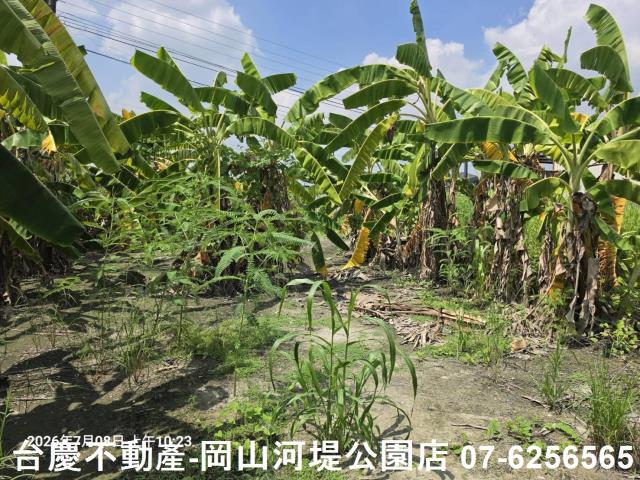高雄阿蓮農地-7
