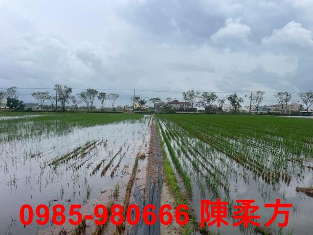 台南農地-13