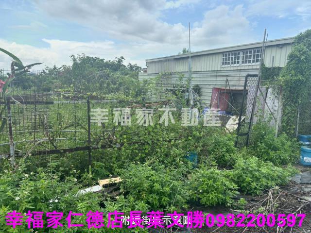 台南西港農地-3