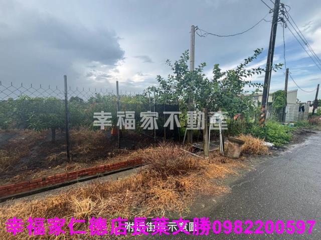 台南西港農地-4