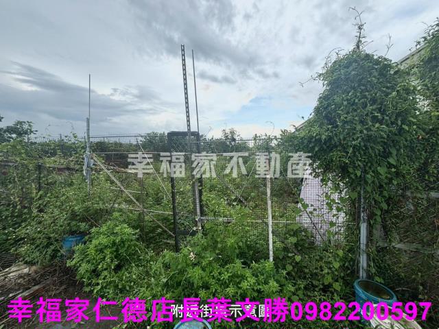 台南西港農地-7