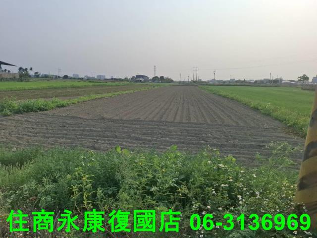 台南農地-5