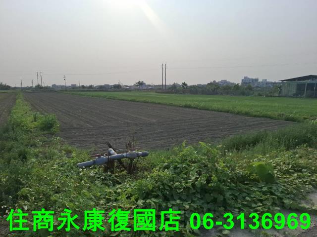 台南農地-8