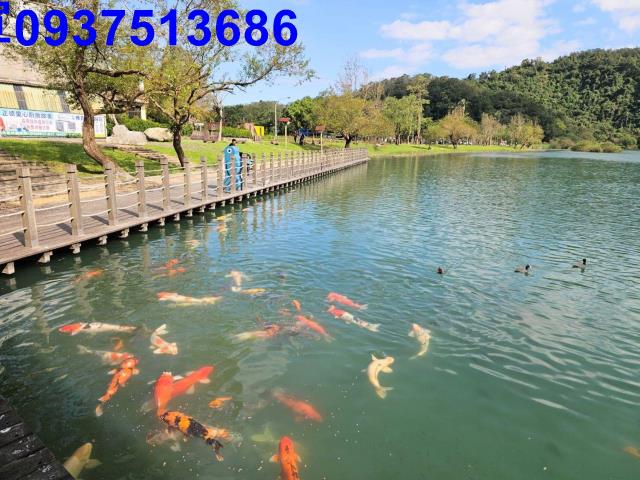 宜蘭農地-11