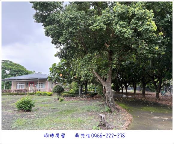屏東高樹農地-11