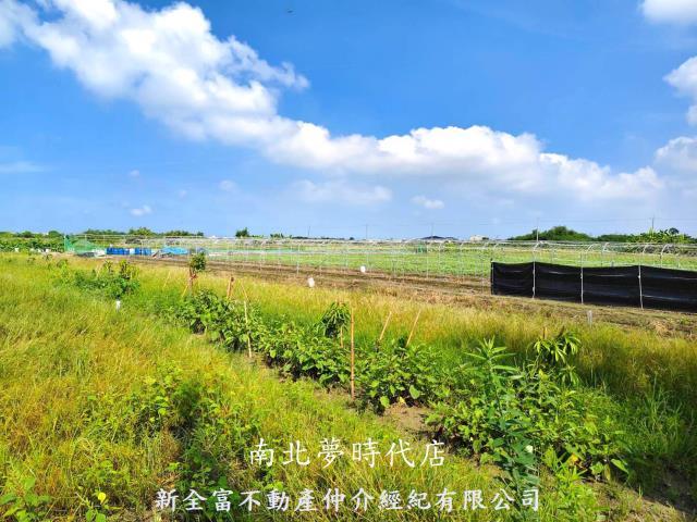 台南佳里農地-4