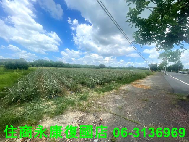 台南農地-1