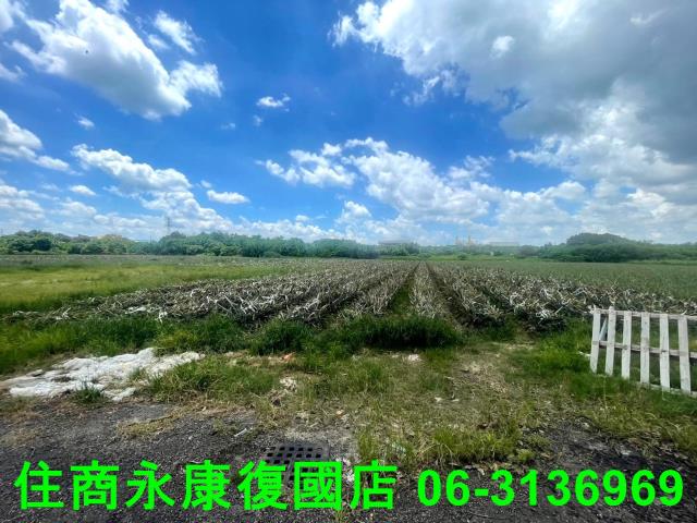 台南農地-6