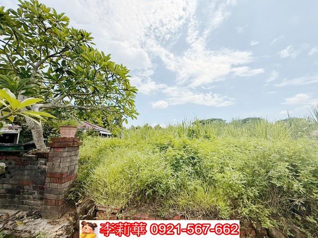 台南農地-9