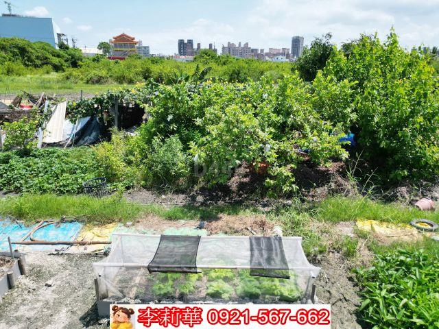 台南農地-11