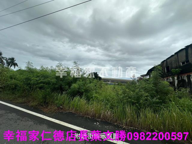 台南善化工業地-14