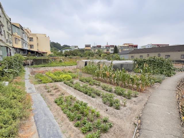 台中龍井建地-1