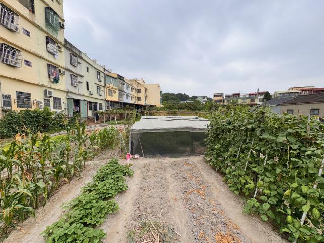 台中龍井建地-5