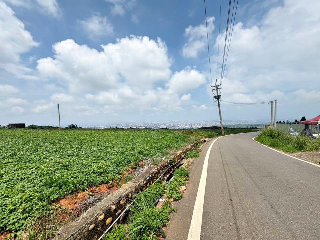 台中沙鹿保護區-4